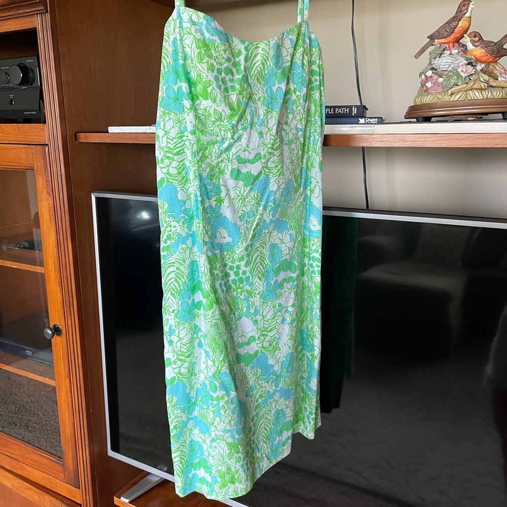 Lily Pulitzer shelli dress I think